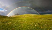 阳光总在风雨后作文