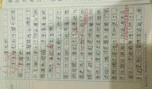 我的一次摆渡作文