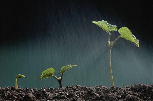 春雨一点点