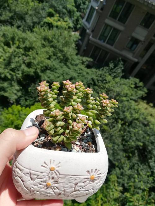阳光