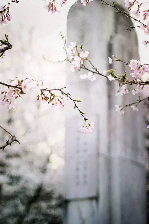 古代押韵仍然是