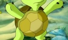 跑得快的小乌龟