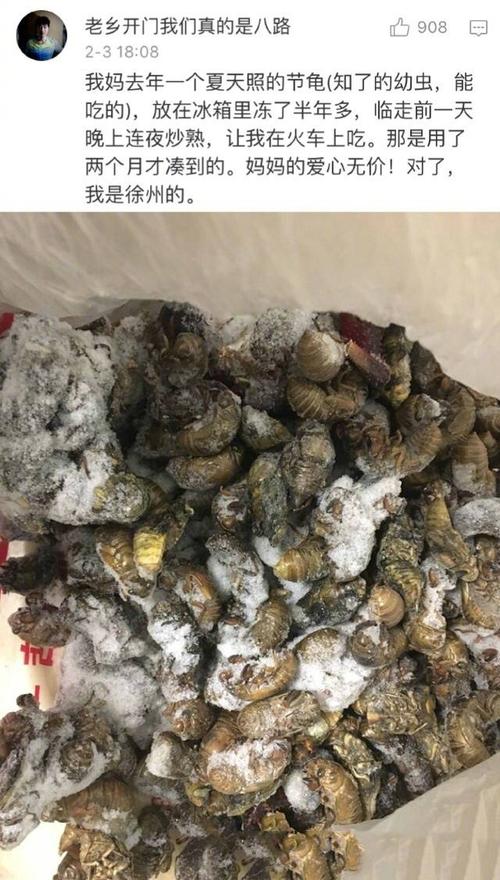 无声的爱