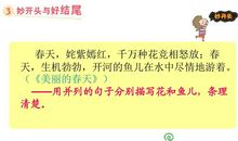 春天的发现作文二年级