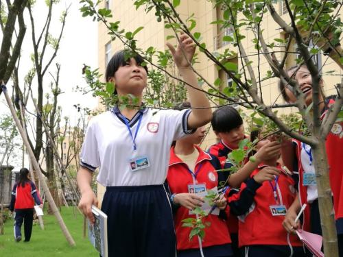 植物在学校
