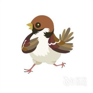 我的动物朋友小麻雀
