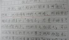 我的好朋友二年级写话