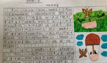 二年级蛋壳看图写话