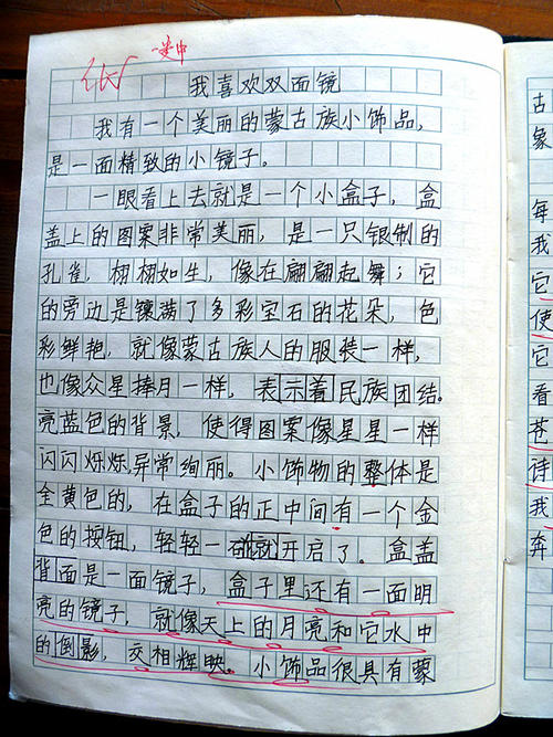 这是真实的我的构成