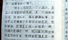 这就是真实的我作文