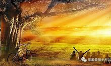 与万福寺一起走过的日子