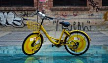 请爱护我们吧—共享单车