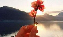 生活终不会辜负努力和善良