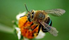 为谁辛苦为谁甜