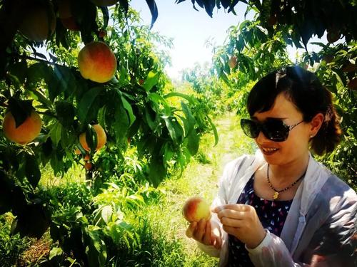 生命是6月日