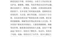 美丽的圣莲岛作文300字