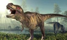 穿越到恐龙时代