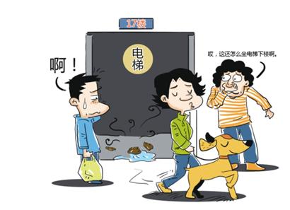 电梯里的狗