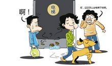 电梯里的那条狗