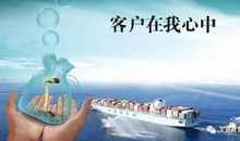 在感恩中邂逅青春之森