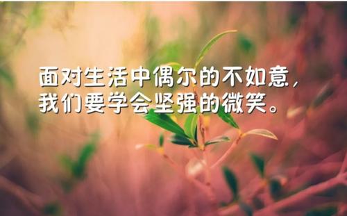 心灵的方向