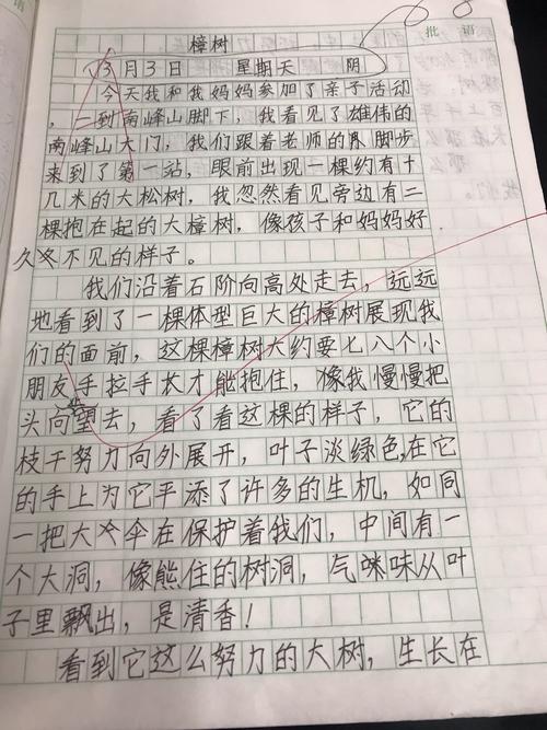我的植物