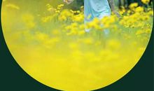 英雄经历的磨炼