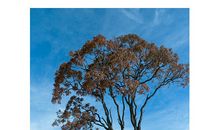 关于秘密天堂的时光