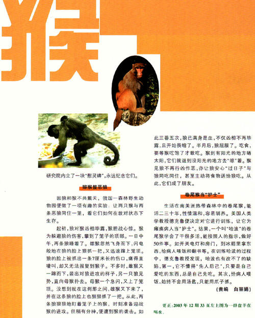 神奇的实验_600字