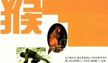 神奇的实验_600字