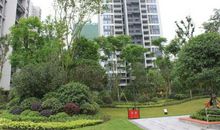 “青园”我记得