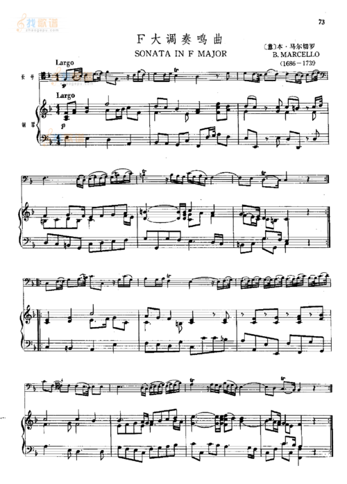 校园奏鸣曲