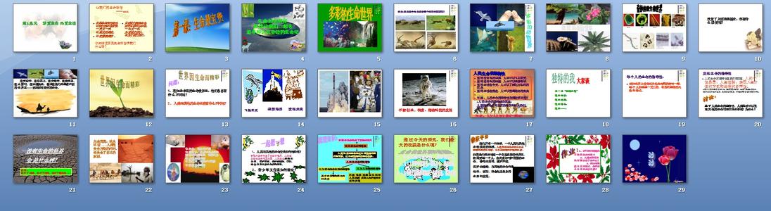 宝贵的教训
