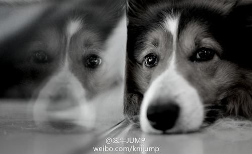 等待微笑