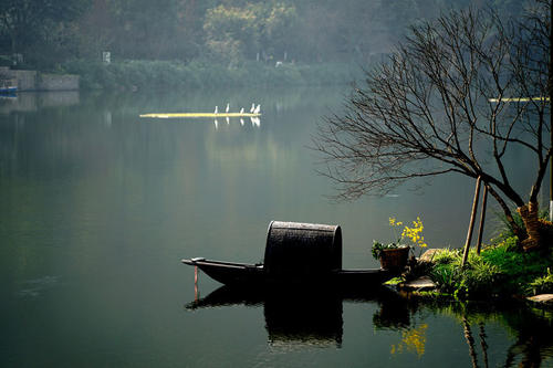 春天发现