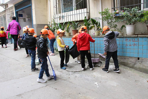 一个环境实践活动