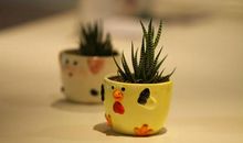 记有意义的一天