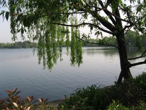 我将欣赏心脏中最美丽的风景。