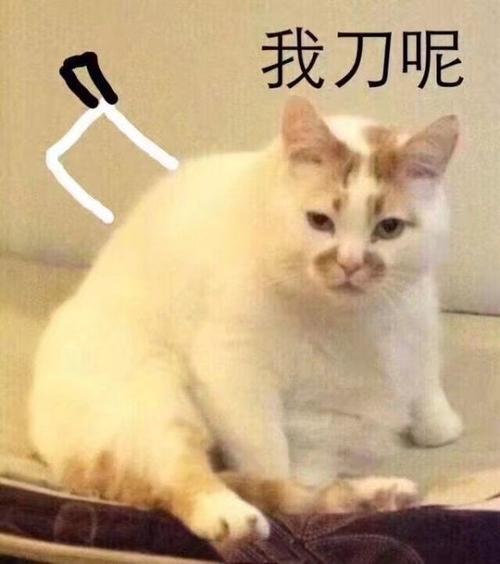 这真的让我失望了