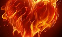 用炽热的心感化冰冷科技