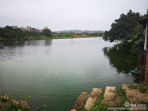 池塘的童年
