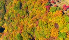 一派迷人的秋景