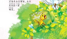 《金翅雀和猫》读后感