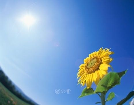 学会理解