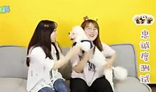 安全在心幸福一生