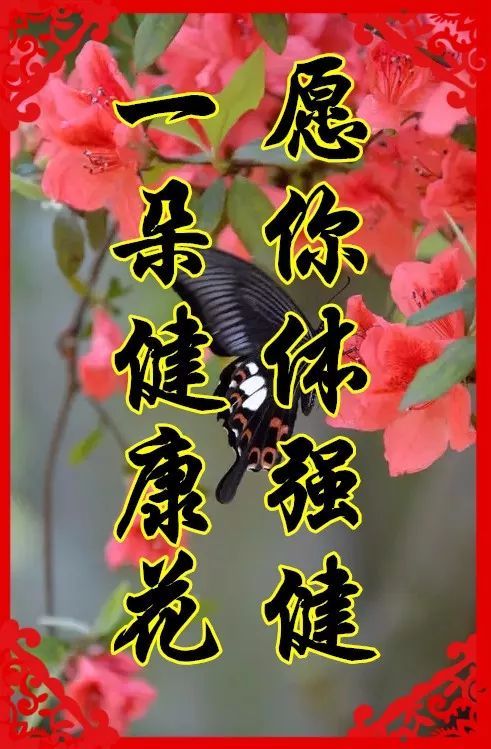 我在春天想念你。
