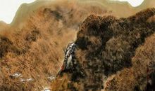 畅谈共享之利弊