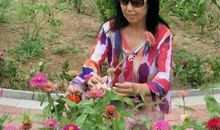 为心灵放入一抹阳光