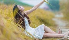 鸟的世界，人的情怀