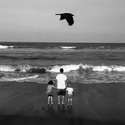 坚持和挑战自己